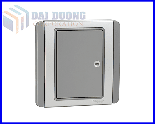 Công tắc Dolly E3031H1_EBGS Schneider