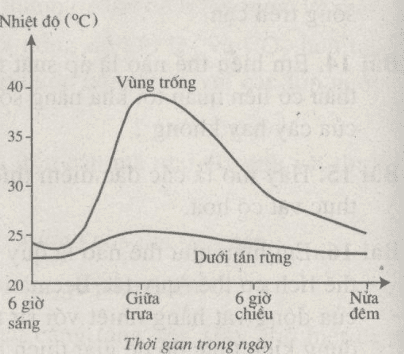 Sự thay cho thay đổi sức nóng chừng nhập ngày